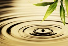 Ekotrend w kosmetologii i SPA cz.I