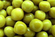 Znaczenie żywienia dla zdrowia człowieka