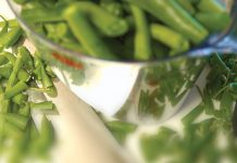 Wpływ diety i stylu życia na skórę kobiet