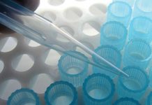 Wpływ rtęci zawartej w tiomersalu na organizm człowieka