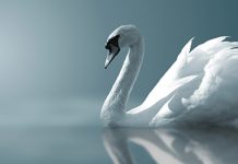 Kształtowanie sylwetki metodą liposukcji – przegląd dostępnych metod inwazyjnych i nieinwazyjnych