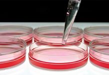 Powierzchnie w salonie kosmetycznym jako źródło zakażeń