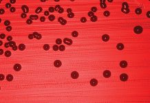 CZY KLIENT MOŻE MNIE ZARAZIĆ?