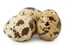 Częstość występowania wybranych zaburzeń pigmentacji skóry u kobiet w wieku od 40 do 75 lat w zależności od ich wieku i statusu społeczno-ekonomicznego