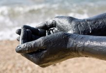 Elementy talasoterapii i możliwości ich rozwoju w kosmetologii