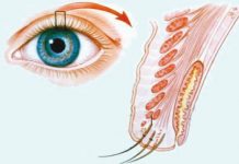 Mikropigmentacja powiek – ważne wskazówki