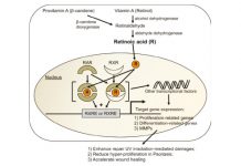 Witaminy w kosmetykach – Cz.I. Od czego zależy ich skuteczność?