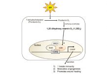 Witaminy w kosmetykach – cz. II Od czego zależy ich skuteczność?