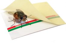 Skuteczny marketing salonu to nie lep na muchy