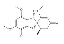 Związki o właściwościach przeciwgrzybiczych