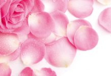 Fotona Intima – nowoczesna ginekologia laserowa