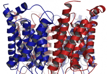 Rola akwaporyn w regulacji równowagi wodnej skóry