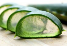 Aloes w kosmetologii i dermatologii
