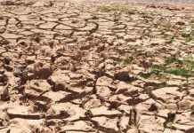 Sucha skóra latem – problem dermatologiczny i kosmetyczny