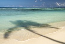 Wpływ wiedzy oraz wybranych czynników socjodemograficznych na profilaktykę i ochronę przed promieniowaniem UV