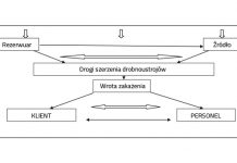 Opinie pracowników na temat stosowania rękawic ochronnych w gabinetach kosmetycznych i odnowy biologicznej