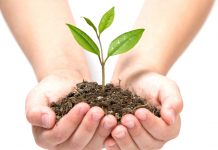 Kosmetyki „naturalne”, „biologiczne” i „ekologiczne”. Gwarancja bezpieczeństwa czy marketing?