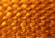 Miód manuka – charakterystyka i zastosowanie w terapiach naturalnych