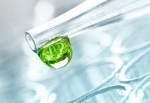 Parabeny jako substancje konserwujące stosowane w preparatach kosmetycznych oraz ich wpływ na apoptozę fibroblastów skóry człowieka