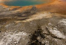 Siarka w medycynie i kosmetologii