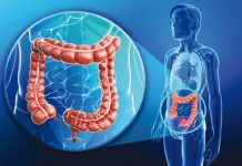 Bakterie jelitowe a mózg