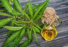 Świadomość społeczeństwa na temat wykorzystania oleju konopnego