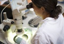 Substancje aktywne wykorzystywane w kosmetykach do pielęgnacji skóry naczyniowej