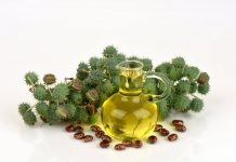 Surowce kosmetyczne pochodzenia naturalnego o działaniu przeciwtrądzikowym