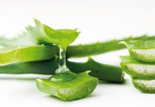 Aloes w kosmetologii