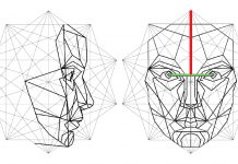 Pigmentacja brwi. Antropometria