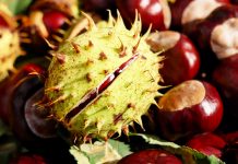 Mezoterapia mikroigłowa – aparatura oraz wskazania