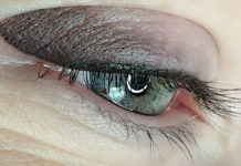 Niezbędnik linergisty