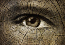 Rodzaje oraz przyczyny starzenia się skóry