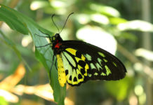 Wpływ stylu życia na efekty zabiegów w gabinetach kosmetologicznych i medycyny estetycznej