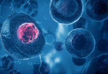 Ludzkie komórki macierzyste. Czy możemy wykorzystywać je bezpiecznie w kosmetologii?