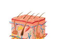 Korneoterapia podstawą pracy kosmetologa
