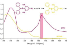 Badania in vivo kosmetyków z filtrem oraz synergistycznej pielęgnacji antyoksydacyjnej