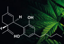 Kannabidiol – charakterystyka i zastosowanie w kosmetologii i dermatologii