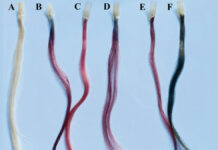 Domowe sposoby farbowania włosów z wykorzystaniem surowców roślinnych