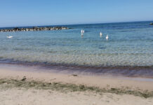 Klimatoterapia i bogactwa naturalne Kołobrzegu