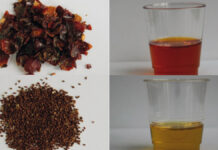 Ocena elastyczności skóry po zastosowaniu kremu wykonanego z surowców naturalnych – badanie pilotażowe