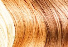 Rośliny lecznicze w pielęgnacji łojotokowej skóry głowy