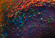 Chemiczna charakterystyka pigmentów w PMU