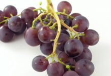 Winoterapia w kosmetologii – znaczenie surowców kosmetycznych pozyskiwanych z winorośli właściwej i wina