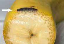 Problemy początkującego linergisty…