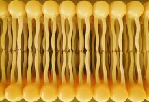 Liposomy PEGylowane (modyfikowane glikolem polietylenowym) – budowa i właściwości