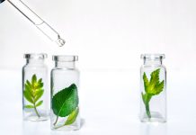 Zioła w preparatach podologicznych