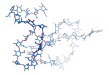 Kwas hialuronowy (HA) a integralność tkanek w estetyce twarzy