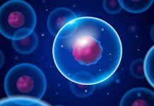 Egzosomy z naukowego punktu widzenia