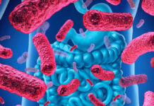 Starzenie, stany zapalne w organizmie i bakterie jelitowe. Wspólny mianownik – skóra